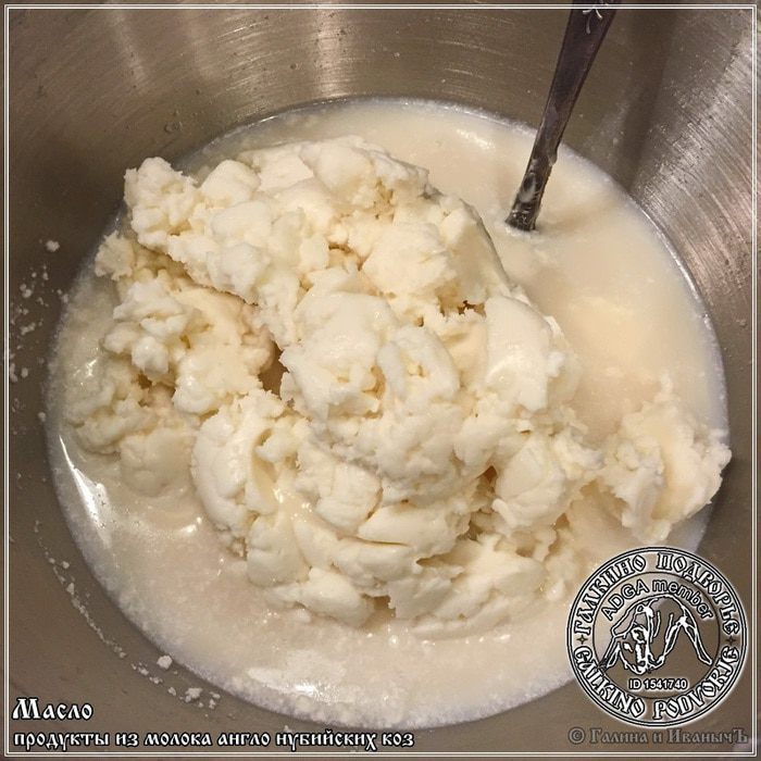 Масло из козьего молока