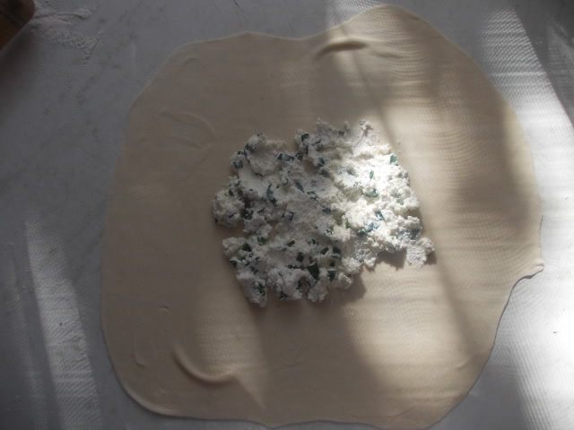 Плакопсы
