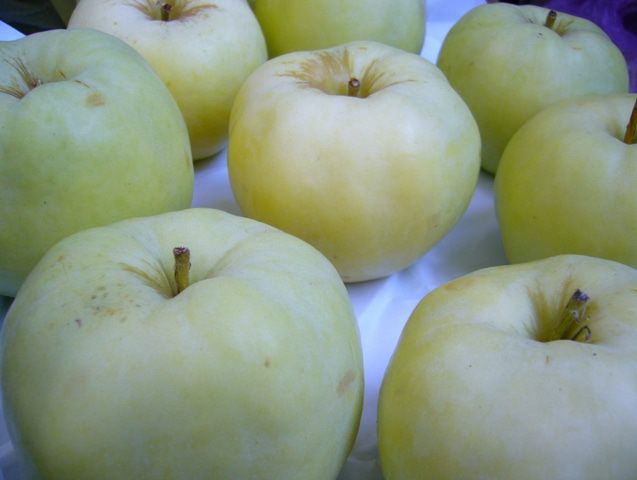 Моченые яблоки