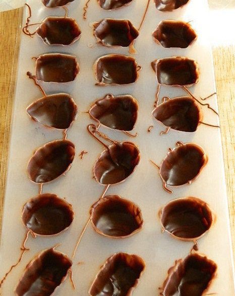 Шоколадные конфеты с творожным сыром