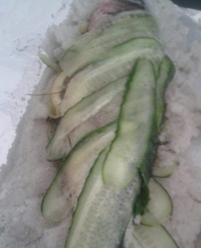 Сибас (морской волк), приготовленный в соли