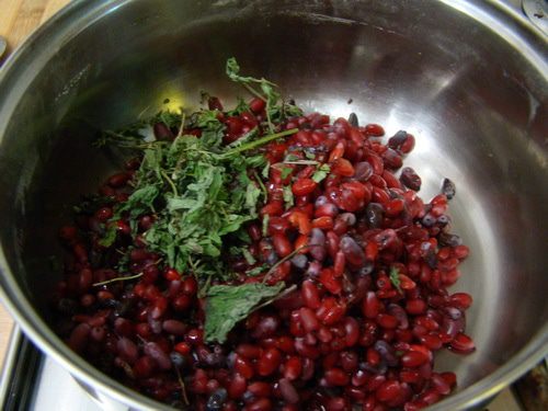 Пирог с барбарисом и калиной