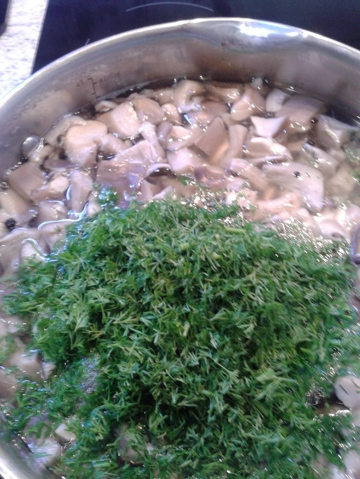 Маринованные грибочки по-домашнему