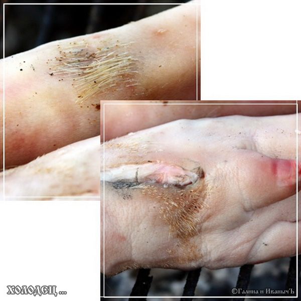 Холодец ... традиционно-обычный