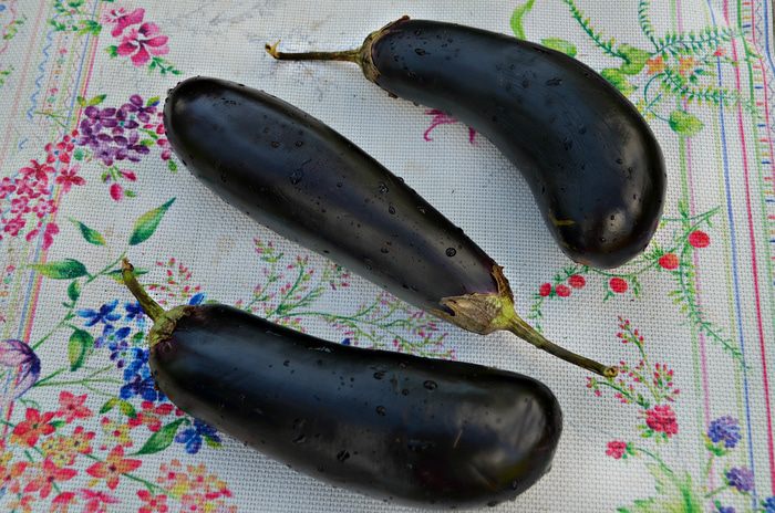 Закуска из баклажанов, приготовленная на гриле