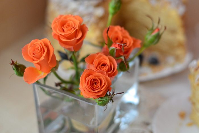 Торт Наполеон &amp;quot;Абрикосовый&amp;quot;