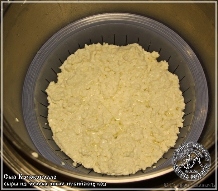 Сыр Качокавалло из молока англо-нубийских коз