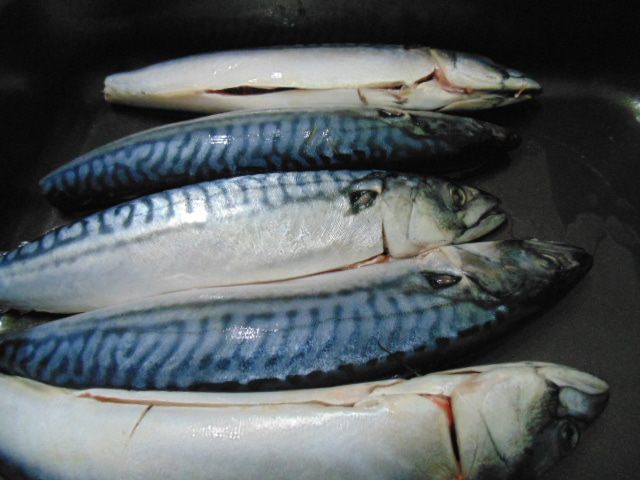 Маринованная скумбрия на гриле