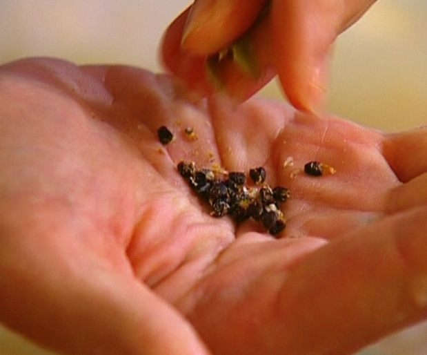 Творожные бомбочки с хурмой и кардамоном