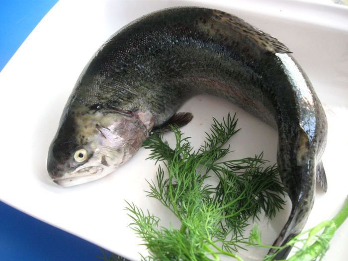 Фаршированная форель &amp;quot;Кутап&amp;quot;