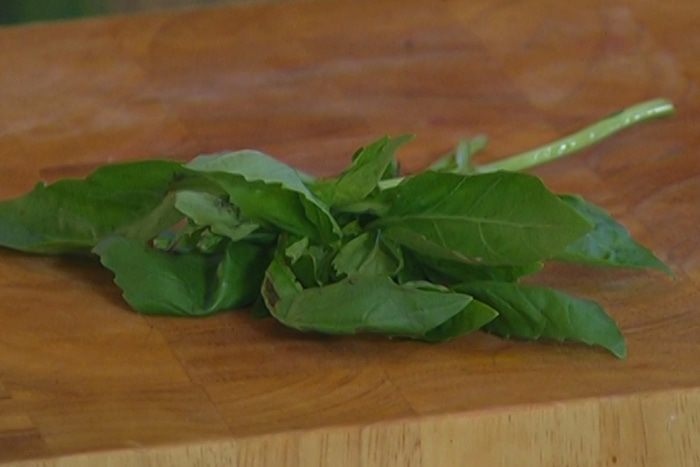 Стейки из семги на гриле с чесноком и помидорами