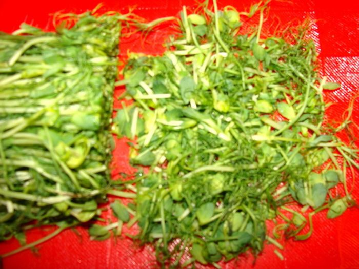 Киш &amp;quot;Сети Купидона&amp;quot; из лимонного теста с рикоттой, моцареллой и черри в беконе