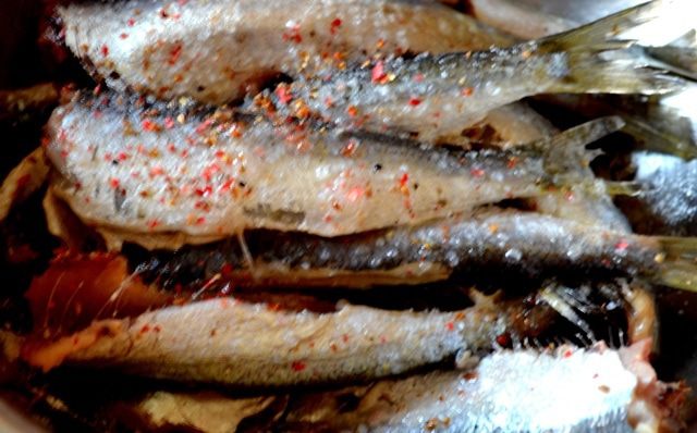 Салака-гриль - &amp;quot;сладкая&amp;quot; рыбка