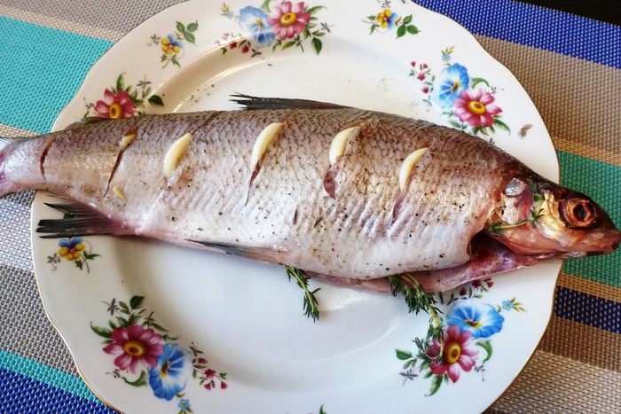 Рыба в «сумасшедшей воде»