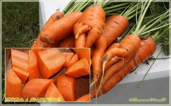 Рыба в капусте