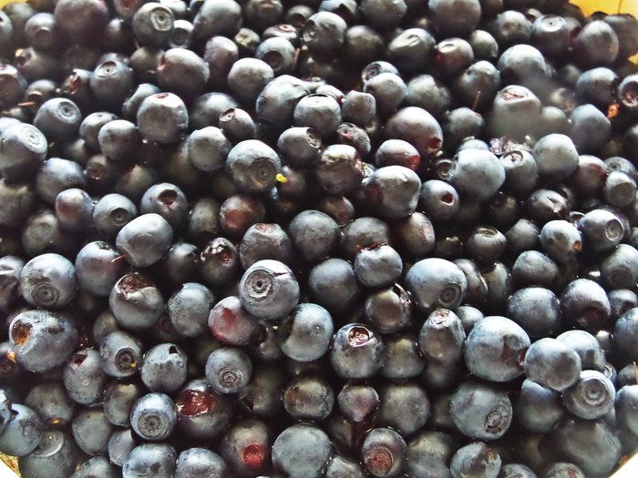 Пирог бисквитный с черникой