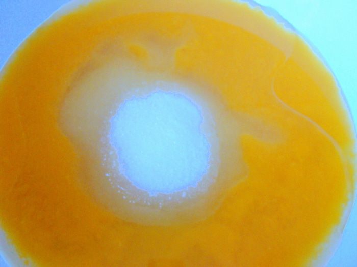 Мандариново-шафрановые кексы с шоколадной глазурью (постные)