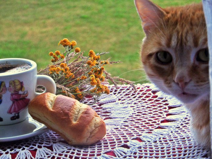 Кофе с кунжутом