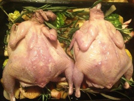 Маринованные в вине перепела, запеченные с овощами и беконом