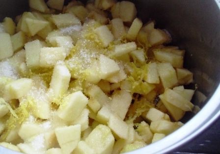 &amp;quot;Тапки&amp;quot; с яблоками