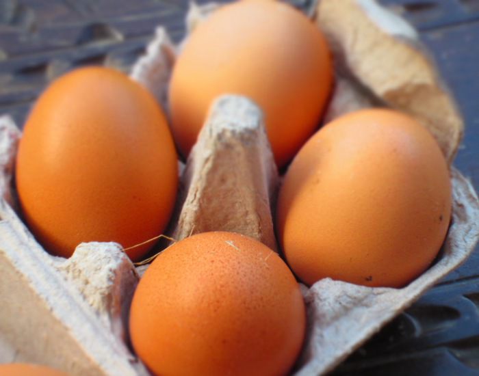 Овощной террин с яйцом