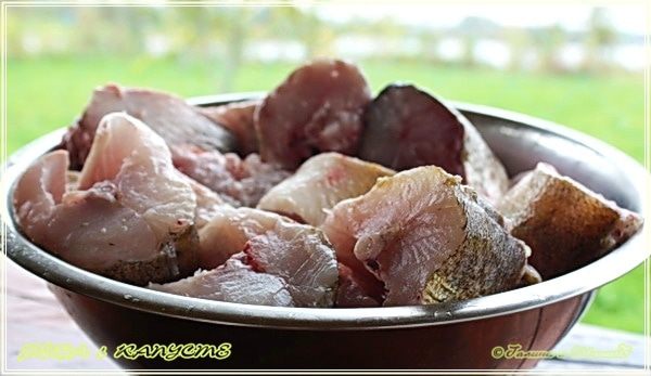 Рыба в капусте