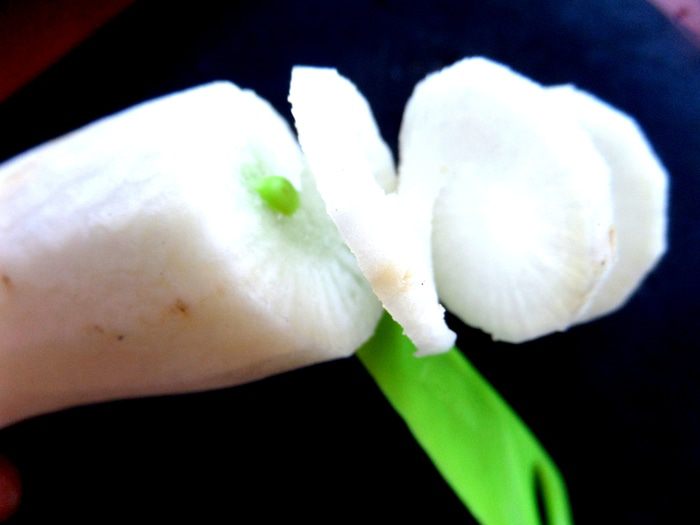 Салат &amp;quot;Два редиса&amp;quot;