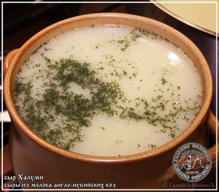 Сыр Халуми и Анари из молока англо-нубийских коз