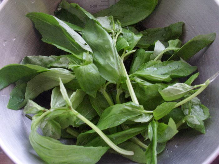 Песто с крапивой