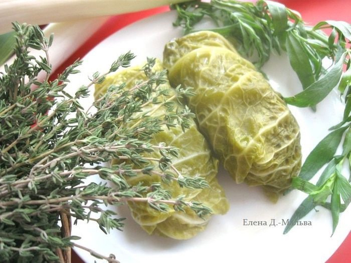 Голубцы  из Прованса от Марлен Дитрих 
