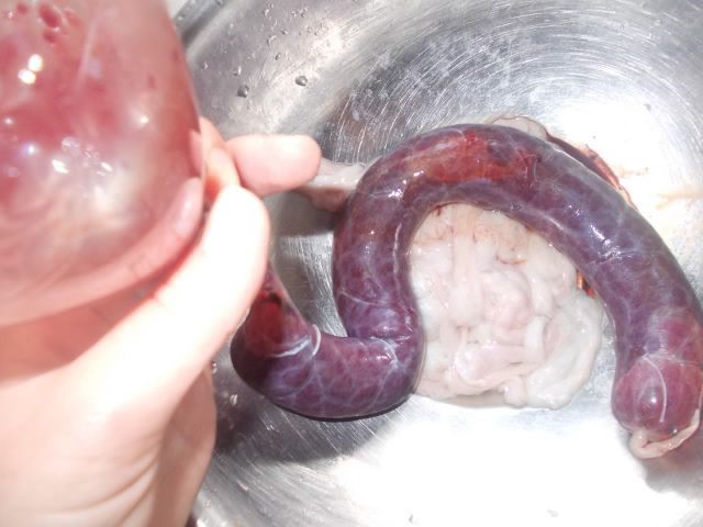 Гречнево-кровяная колбаса