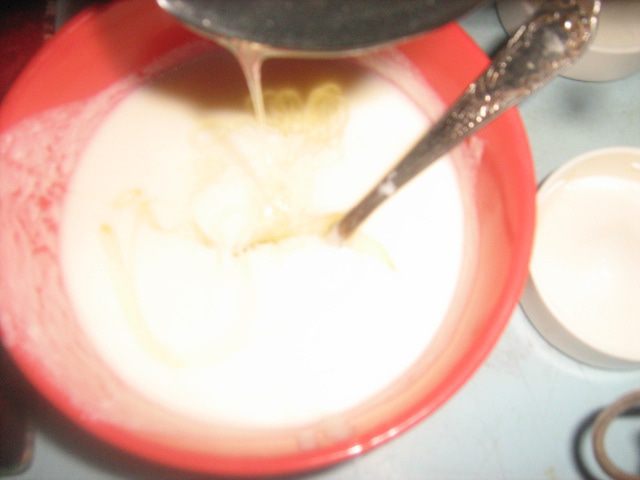 Йогуртово-медовая панна котта с малиной