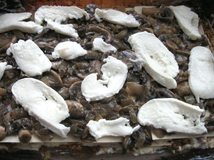 Лазанья с рагу болоньезе (ragù alla bolognese), грибами и моцареллой