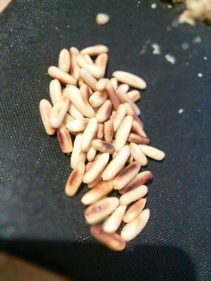 Козий сыр, запечённый под ореховой корочкой на сливовом карпаччо 