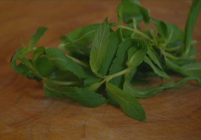 Кебаб из цыпленка с чили и мятой