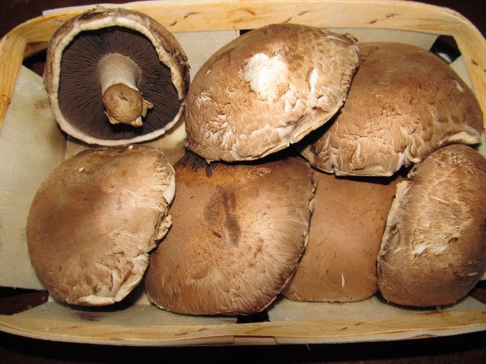 Фаршированные грибы