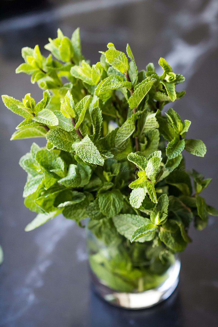 Апельсиновый тирамису с мятным сиропом