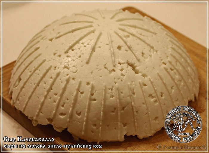 Сыр Качокавалло из молока англо-нубийских коз