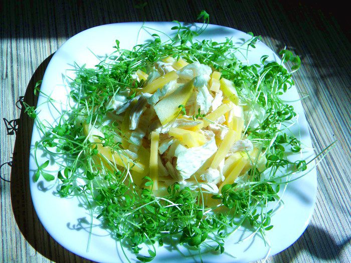 Сытный салатик с курицей и гаудой