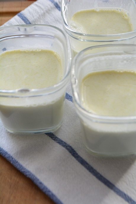 Фисташковая панна котта с мандаринами