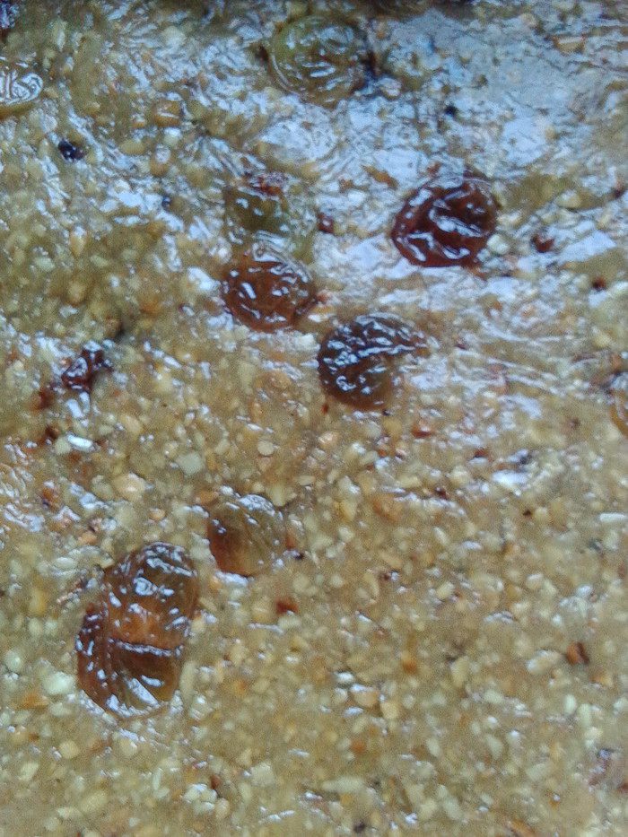 Любимая халва султана