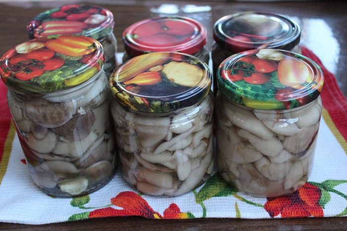 Маринованные маслята 