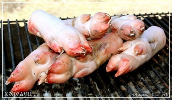 Холодец ... традиционно-обычный