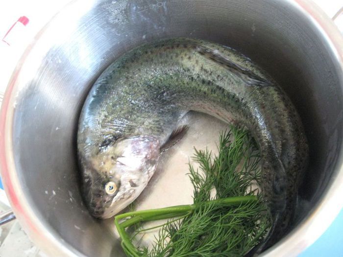 Фаршированная форель &amp;quot;Кутап&amp;quot;