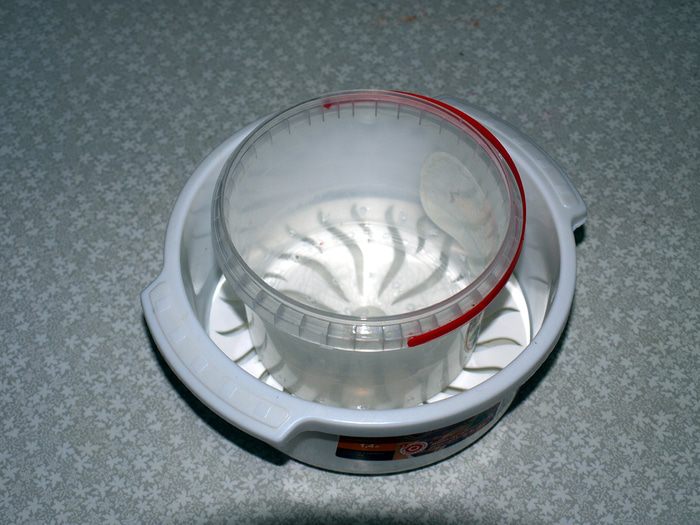 Сыр твердый домашнего приготовления