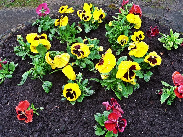 Бананово-арбузный смузи