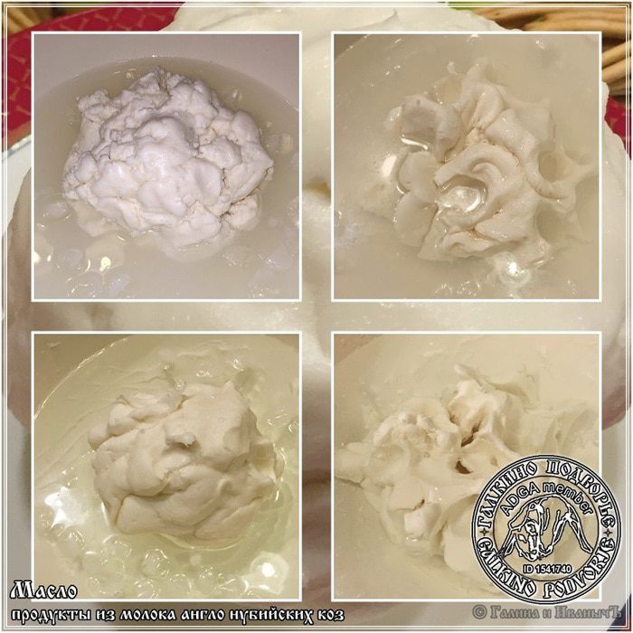 Масло из козьего молока
