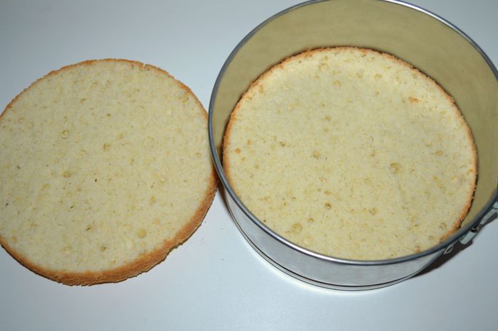 Бисквитно-муссовый торт &amp;quot;Дыхание весны&amp;quot;