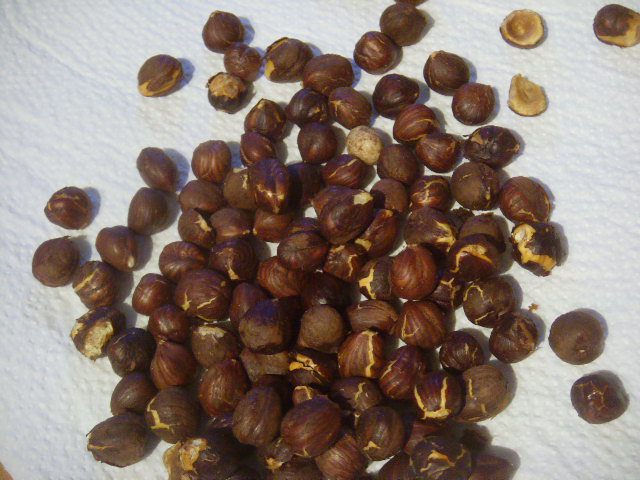 Великолепный дуэт: брауни и шоколадный парфе