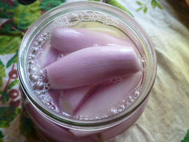 Маринованный лук с перцем и базиликом